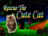 Top10 Rescue The Cute Cat