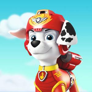 play Paw Patrol Air Patroller