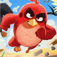 play Angry-Birds-Differences-2016