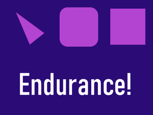 play Endurance