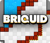 play Briquid