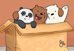 play We Bare Bears Boxed Up Bears