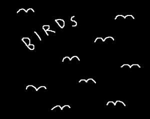 play Birds