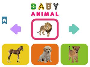 play Baby Animal