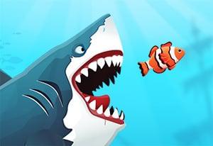 play Angry Sharks