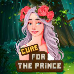 play Hidden Objects Cure For The Prince