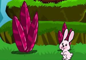 play Hopping Rabbit Escape