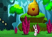 play Hopping Rabbit Escape