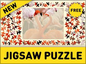 play Jigsaw Puzzle