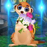 play Palani Rescue The Beloved Meerkat