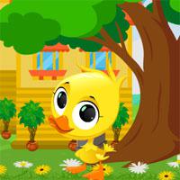 play Avm-Escape-The-Duck