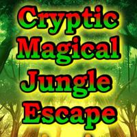 Cryptic-Magical-Jungle-Escape