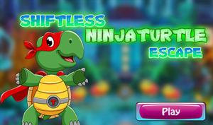 Shiftless Ninja Turtle Escape