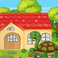 play Games4King-Green-Turtle-Rescue