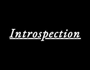 play Introspection