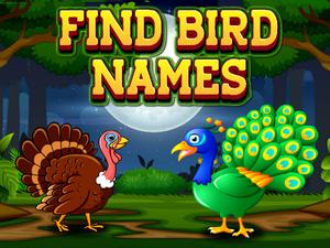 play Find Birds Names