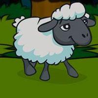 play G2J-Baby-Sheep-Escape