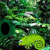 play Chameleon Rain Forest Escape Html5