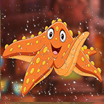 play Delightful Orange Starfish Escape