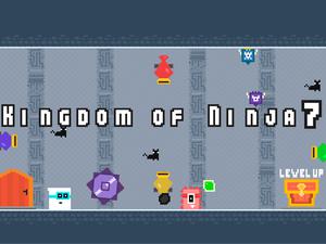 play Kingdom Of Ninja 7