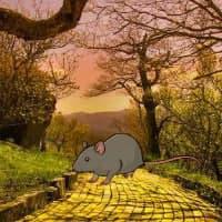 play Abandoned Rat Forest Escape Html5