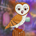 play Genial Barn Owl Escape