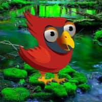play Big-Red Angry Bird Escape Html5