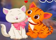 play Lovely Couple Cats Escape