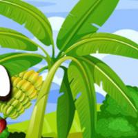 play Banana-Farm-Escape