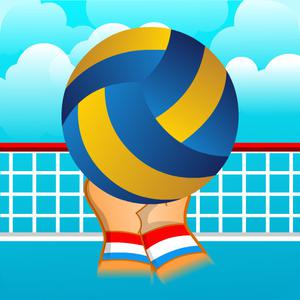 play Volleyball Sport