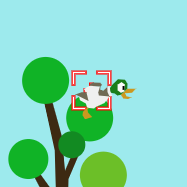 play Duck