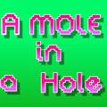 play A Mole In A Hole