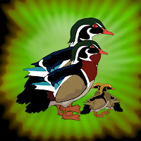 play G2J Wood Duck Family Escape