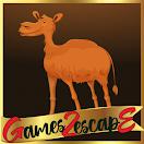 play G2E Find Water For Poor Camel Html5