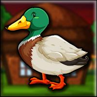 play G2J Mallard Duck Escape From Cage