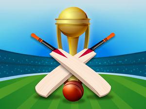 play Cricket Champions Cup