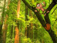 play Funny Monkey Forest Escape