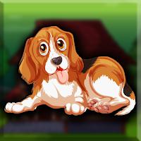 play G2J Cute Beagle Puppy Escape