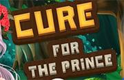 play Cure For The Prince - Play Free Online Games | Addicting