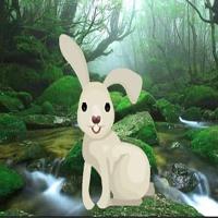 play Hog-Save The Little Rabbit Html5