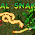 play Real Snakes