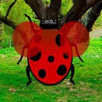 play Extricate The Lady Bug Html5