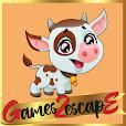 play G2E Cute Calf Rescue Html5