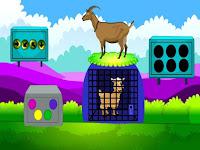 play G2M Lamb Escape Html5