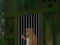 play Help The Trapped Bear