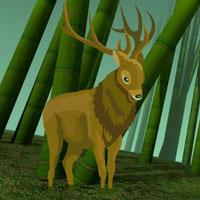 play Wow-Animals Bamboo Jungle Escape Html5