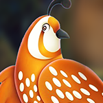 play Beauty Chicken Escape