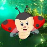 Rescue The Little Bug Html5