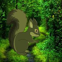 play Big-Help The Trouble Squirrel Html5