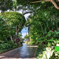 play Escape-From-Tropical-Estate